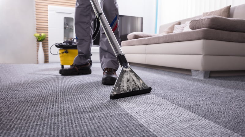 Professional carpet cleaning services for commercial offices in Hamilton using eco-friendly equipment.