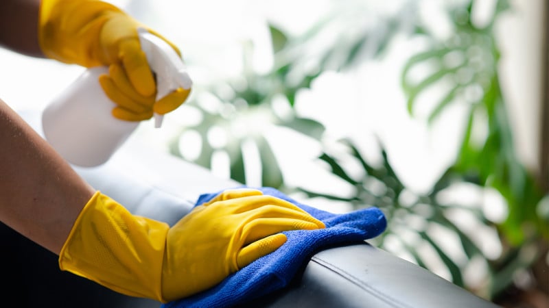 Sustainable green cleaning services in Tampa for healthier workplaces and cleaner offices.